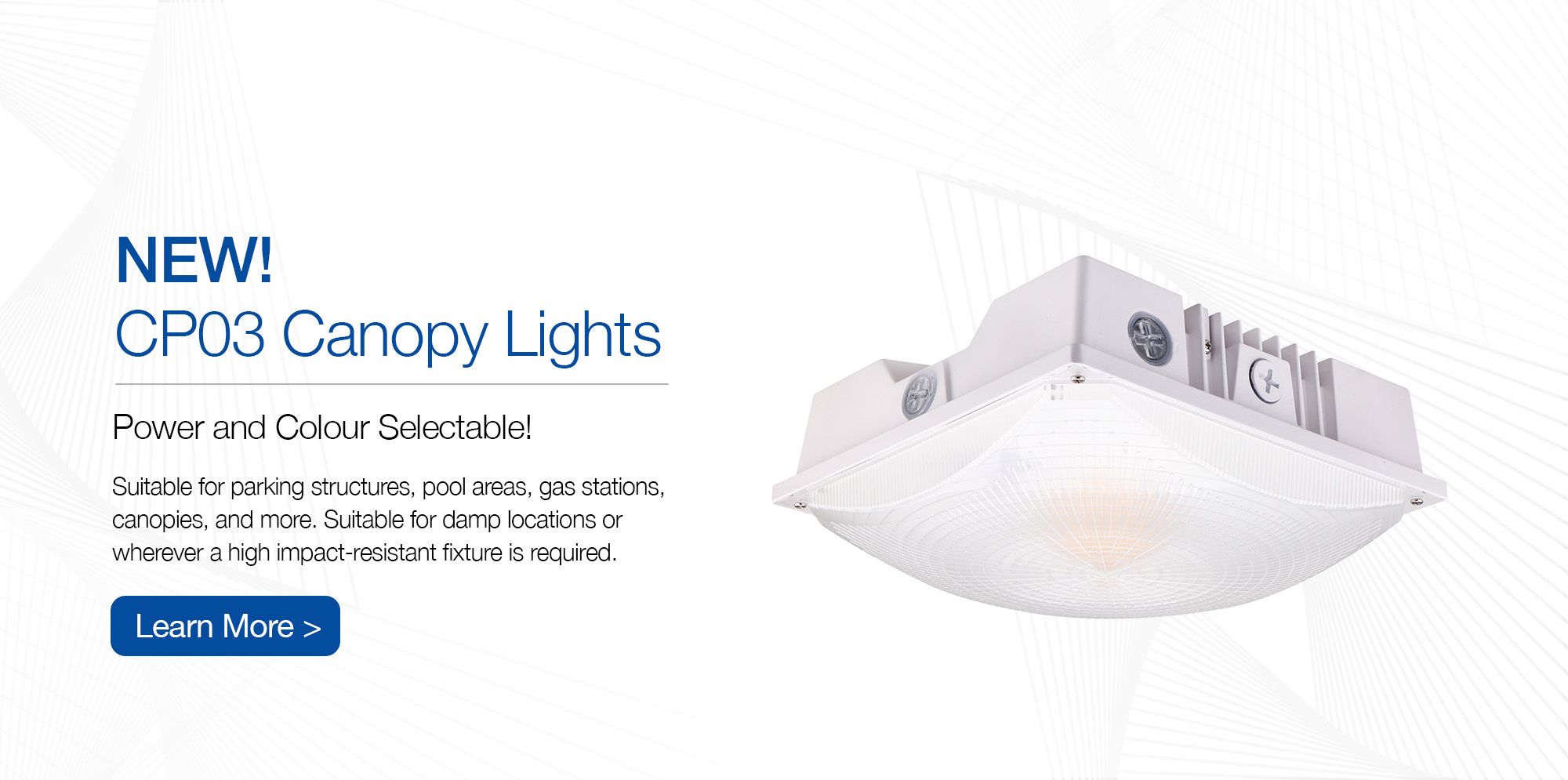 CP03 Canopy Lights