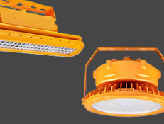 Explosion-Proof Series Flyer